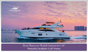 Golden sunset over Arabian landscape